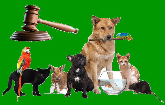 leggi a tutela degli animali e ambiente
